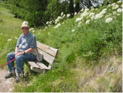 Photo of Harold Schiffman taking a break from hiking. Upper Engadine, Switzerland (27 June 2003)